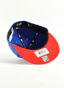 New Era  Speckle Patriots Roy