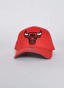 Mitchell & Ness  Ground Stretch Bulls