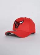Mitchell & Ness  Ground Stretch Bulls
