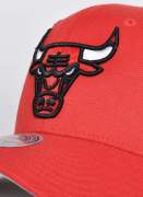 Mitchell & Ness  Ground Stretch Bulls