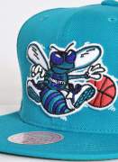Mitchell & Ness  Team Ground Hornets