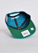 Mitchell & Ness  Team Ground Hornets