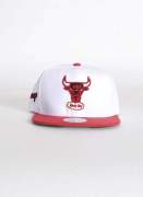 Mitchell & Ness Side Core Bulls