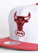Mitchell & Ness Side Core Bulls