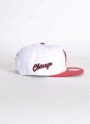 Mitchell & Ness Side Core Bulls