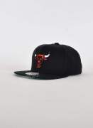 Mitchell & Ness NBA SHINE ON SNAPBACK BULLS