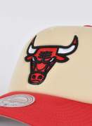 Mitchell & Ness Vintage Trucker Bulls